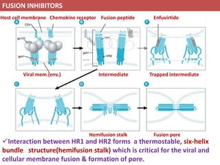 Antiviral Drugs and their mechanism of action | PDF