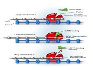 Antiviral Drugs and their mechanism of action | PDF