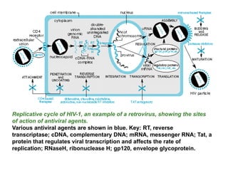 Comprehensive Overview of Antiviral Drugs and Their Mechanisms | PPTX