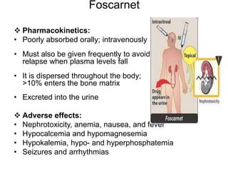 Foscarnet
 Pharmacokinetics:
• Poorly absorbed orally; intravenously
• Must also be given frequently to avoid
relapse when plasma levels fall
• It is dispersed throughout the body;
>10% enters the bone matrix
• Excreted into the urine
 Adverse effects:
• Nephrotoxicity, anemia, nausea, and fever
• Hypocalcemia and hypomagnesemia
• Hypokalemia, hypo- and hyperphosphatemia
• Seizures and arrhythmias
 