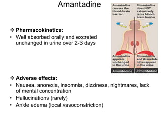 Amantadine
 Pharmacokinetics:
• Well absorbed orally and excreted
unchanged in urine over 2-3 days
 Adverse effects:
• Nausea, anorexia, insomnia, dizziness, nightmares, lack
of mental concentration
• Hallucinations (rarely)
• Ankle edema (local vasoconstriction)
 