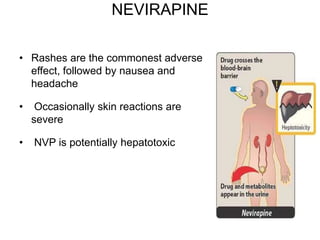 NEVIRAPINE
• Rashes are the commonest adverse
effect, followed by nausea and
headache
• Occasionally skin reactions are
severe
• NVP is potentially hepatotoxic
 