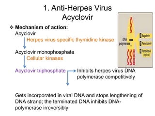 1. Anti-Herpes Virus
Acyclovir
 Mechanism of action:
Acyclovir
Herpes virus specific thymidine kinase
Acyclovir monophosphate
Cellular kinases
Acyclovir triphosphate Inhibits herpes virus DNA
polymerase competitively
Gets incorporated in viral DNA and stops lengthening of
DNA strand; the terminated DNA inhibits DNA-
polymerase irreversibly
 