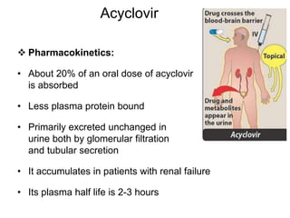 Acyclovir
 Pharmacokinetics:
• About 20% of an oral dose of acyclovir
is absorbed
• Less plasma protein bound
• Primarily excreted unchanged in
urine both by glomerular filtration
and tubular secretion
• It accumulates in patients with renal failure
• Its plasma half life is 2-3 hours
 