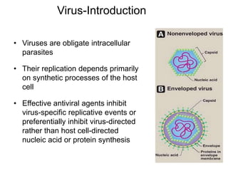 Virus-Introduction
• Viruses are obligate intracellular
parasites
• Their replication depends primarily
on synthetic proce...