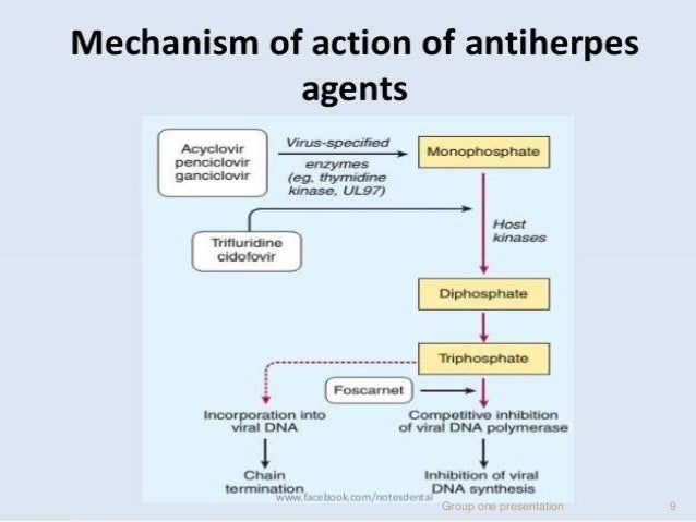 Anti viral drugs presentation Anti viral drugs presentation
