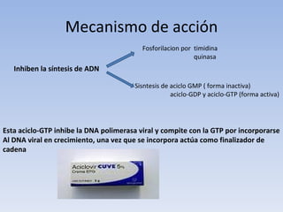 Mecanismo de acción
                                          Fosforilacion por timidina
                                                            quinasa
   Inhiben la síntesis de ADN

                                        Sisntesis de aciclo GMP ( forma inactiva)
                                                     aciclo-GDP y aciclo-GTP (forma activa)




Esta aciclo-GTP inhibe la DNA polimerasa viral y compite con la GTP por incorporarse
Al DNA viral en crecimiento, una vez que se incorpora actúa como finalizador de
cadena
 