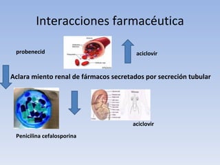 Interacciones farmacéutica

 probenecid                             aciclovir


Aclara miento renal de fármacos secretados por secreción tubular




                                       aciclovir
 Penicilina cefalosporina
 