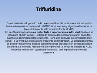 Trifluridina

  Es un derivado halogenado de la desoxiuridina. Ha mostrado actividad in vitro
 frente a Herpesvirus, incluyendo el CMV, virus vaccinia y algunos adenovirus, si
                    bien clínicamente sólo es eficaz frente al VHS.
En la célula hospedadora es fosforilada e incorporada al ADN viral; también se
   incorpora al ADN celular. Su falta de selectividad explicaría su gran toxicidad
  cuando se administra parenteralmente. Tiene una semivida de eliminación muy
corta (18-20 min) que obliga a una frecuente administración. La absorción corneal
  es buena y localmente alcanza concentraciones elevadas con escasa toxicidad
  sistémica. La toxicidad medular es tan importante (al inhibir la síntesis de ADN,
       inhibe las células con capacidad replicativa) que imposibilita su empleo
                                      parenteral.
 