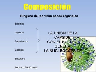 Ninguno de los virus posee organelos

Enzimas


Genoma                  LA UNION DE LA
                           CÁPSIDE
Capsómeros             CON EL NUCLEO,
                           GENERA
Cápside
                      LA NUCLEOCÁPSIDE
Envoltura


Peplos o Peplómeros
 
