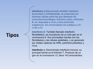 Interferón α:Denominado también interferón
        leucocitario o linfoblastoide, es producido por
        diversas células entre las que destacan los
        monocitos/macrófagos, linfocitos nulos y linfocitos
        B, en respuesta a virus y otros estímulos
        antigénicos. Se comercializan los subtipos α-2ª,
        α-2b α-n3
        Interferón β: También llamado interferón
Tipos   fibroblástico, es el producto de un solo gen en el
        cromosoma 9. Sus principales fuentes son los
        fibroblastos y las células epiteliales, y es generado
        por dobles cadenas de ARN, polirribonucleótidos y
        virus.
        Interferón γ: Denominado interferón inmune, su
        principal fuente es el linfocito T. Producto de un
        gen en el cromosoma 12, tiene 143 aminoácidos
 