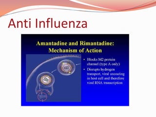 Anti Influenza
 