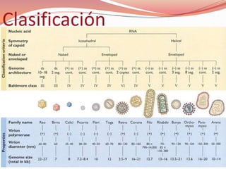 Clasificación
 