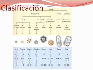 Clasificación