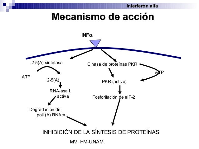 Antivirales Antivirales