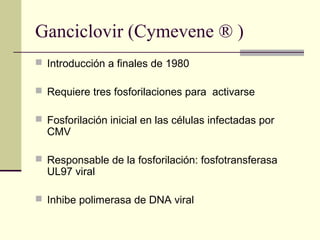 Ganciclovir (Cymevene ® )
 Introducción a finales de 1980
 Requiere tres fosforilaciones para activarse
 Fosforilación inicial en las células infectadas por
CMV
 Responsable de la fosforilación: fosfotransferasa
UL97 viral
 Inhibe polimerasa de DNA viral
 