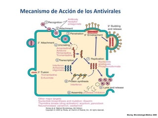 Mecanismo de Acción de los Antivirales

Murray. Microbiología Médica. 2009

 