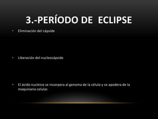 3.-PERÍODO DE ECLIPSE
• Eliminación del cápside
• Liberación del nucleocápside
• El ácido nucleico se incorpora al genoma de la célula y se apodera de la
maquinaria celular.
 