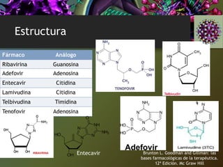 Estructura
Fármaco Análogo
Ribavirina Guanosina
Adefovir Adenosina
Entecavir Citidina
Lamivudina Citidina
Telbivudina Timidina
Tenofovir Adenosina
Brunton L. Goodman and Gillman: las
bases farmacológicas de la terapéutica.
12ª Edición. Mc Graw Hill
Entecavir
 