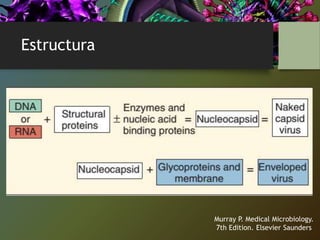 Estructura
Murray P. Medical Microbiology.
7th Edition. Elsevier Saunders
 