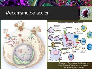 Mecanismo de acción
Brunton L. Goodman and Gillman: las
bases farmacológicas de la terapéutica.
12ª Edición. Mc Graw Hill
 