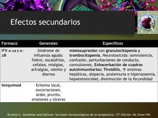 Efectos secundarios
Brunton L. Goodman and Gillman: las bases farmacológicas de la terapéutica. 12ª Edición. Mc Graw Hill
Fármaco Generales Específicos
IFN α-2a y α-
2B
Síndrome de
influenza aguda:
fiebre, escalofríos,
cefalea, mialgias,
artralgias, vómito y
diarrea
mielosupresión con granulocitopenia y
trombocitopenia, Neurotoxicida: somnolencia,
confusión, perturbaciones de conducta,
convulsiones, Exhacerbación de cuadros
autoinmunitarios: Tiroiditis,  enzimas
hepáticas, alopecia, proteinuria e hiperazoemia,
hepatotoxicidad, disminución de la fecundidad
Imiquimod Eritema local,
excoriaciones,
ardor, prurito,
erosiones y úlceras
 
