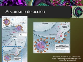 Mecanismo de acción
Brunton L. Goodman and Gillman: las
bases farmacológicas de la terapéutica.
12ª Edición. Mc Graw Hill
 