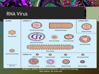 RNA Virus
Brooks G. Jawetz, Melnick and Adelberg’s medical microbiology.
26th edition. Mc Graw Hill
 