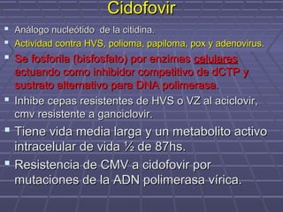 CidofovirCidofovir
 Análogo nucleótido de la citidina.Análogo nucleótido de la citidina.
 Actividad contra HVS, polioma, papiloma, pox y adenovirus.Actividad contra HVS, polioma, papiloma, pox y adenovirus.
 Se fosforila (bisfosfato) por enzimasSe fosforila (bisfosfato) por enzimas celularescelulares
actuando como inhibidor competitivo de dCTP yactuando como inhibidor competitivo de dCTP y
sustrato alternativo para DNA polimerasa.sustrato alternativo para DNA polimerasa.
 Inhibe cepas resistentes de HVS o VZ al aciclovir,Inhibe cepas resistentes de HVS o VZ al aciclovir,
cmv resistente a ganciclovir.cmv resistente a ganciclovir.
 Tiene vida media larga y un metabolito activoTiene vida media larga y un metabolito activo
intracelular de vida ½ de 87hs.intracelular de vida ½ de 87hs.
 Resistencia de CMV a cidofovir porResistencia de CMV a cidofovir por
mutaciones de la ADN polimerasa vírica.mutaciones de la ADN polimerasa vírica.
 