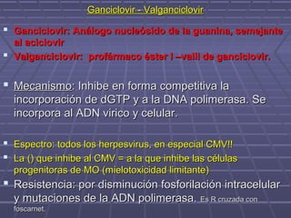 Ganciclovir - ValganciclovirGanciclovir - Valganciclovir
 Ganciclovir: Análogo nucleósido de la guanina, semejanteGanciclovir: Análogo nucleósido de la guanina, semejante
al acicloviral aciclovir
 Valganciclovir: profármaco éster l –valil de ganciclovir.Valganciclovir: profármaco éster l –valil de ganciclovir.
 MecanismoMecanismo: Inhibe en forma competitiva la: Inhibe en forma competitiva la
incorporación de dGTP y a la DNA polimerasa. Seincorporación de dGTP y a la DNA polimerasa. Se
incorpora al ADN virico y celular.incorpora al ADN virico y celular.
 Espectro: todos los herpesvirus, en especial CMV!!Espectro: todos los herpesvirus, en especial CMV!!
 La () que inhibe al CMV = a la que inhibe las célulasLa () que inhibe al CMV = a la que inhibe las células
progenitoras de MO (mielotoxicidad limitante)progenitoras de MO (mielotoxicidad limitante)
 Resistencia: por disminución fosforilación intracelularResistencia: por disminución fosforilación intracelular
y mutaciones de la ADN polimerasa.y mutaciones de la ADN polimerasa. Es R cruzada conEs R cruzada con
foscarnet.foscarnet.
 