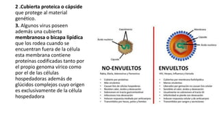 2 .Cubierta proteica o cápside
que protege al material
genético.
3. Algunos virus poseen
además una cubierta
membranosa o bicapa lipídica
que los rodea cuando se
encuentran fuera de la célula
esta membrana contiene
proteínas codificadas tanto por
el propio genoma vírico como
por el de las células
hospedadoras además de
glúcidos complejos cuyo origen
es exclusivamente de la célula
hospedadora
 
