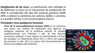 Clasificación de los virus. La clasificación más utilizada la
de Baltimore se basa en el mecanismo de producción de
ARN m considerado del tipo del material genético (ADN
ARN o ambos) la existencia de cadenas dobles o sencillas
y si pueden utilizar o no la transcriptasa inversa.
Principales virus patógenos humanos
Virus de la inmunodeficiencia humana (VIH) es un retrovirus
que posee una cinética de replicación muy agresiva los
antígenos proteicos de la envoltura exterior se acoplan
específicamente con linfocitos t cd4. Se han descrito
numerosos subtipos, lo que supone un inconveniente a la hora
de conseguir un tratamiento eficaz VIH-1 y VIH-2 son capaces
de provocar el sida. vIH-2 se asocia más frecuentemente con
formas neurológicas del síndrome.
 