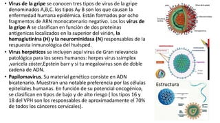 • Virus de la gripe se conocen tres tipos de virus de la gripe
denominados A,B,C. los tipos Ay B son los que causan la
enfermedad humana epidémica. Están formados por ocho
fragmentos de ARN monocatenario negativo. Los los virus de
la gripe A se clasifican en función de dos proteínas
antigenicas localizados en la superior del virión, la
hemaglutinina (H) y la neurominidasa (N) responsables de la
respuesta inmunológica del huésped.
• Virus herpéticos se incluyen aquí virus de Gran relevancia
patológica para los seres humanos: herpes virus ssimplex
,varicela zóster,Epstein barr y si tu megalovirus son de doble
cadena de ADN.
• Papilomavirus. Su material genético consiste en ADN
bicatenario. Muestran una notable preferencia por las células
epiteliales humanas. En función de su potencial oncogénico,
se clasifican en tipos de bajo y de alto riesgo ( los tipos 16 y
18 del VPH son los responsables de aproximadamente el 70%
de todos los cánceres cervicales).
 