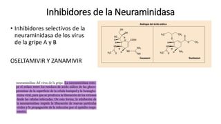 Inhibidores de la Neuraminidasa
• Inhibidores selectivos de la
neuraminidasa de los virus
de la gripe A y B
OSELTAMIVIR Y ZANAMIVIR
 