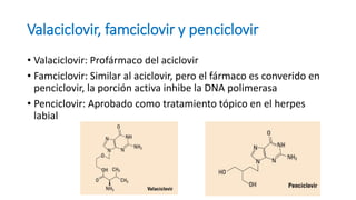 Valaciclovir, famciclovir y penciclovir
• Valaciclovir: Profármaco del aciclovir
• Famciclovir: Similar al aciclovir, pero el fármaco es converido en
penciclovir, la porción activa inhibe la DNA polimerasa
• Penciclovir: Aprobado como tratamiento tópico en el herpes
labial
 