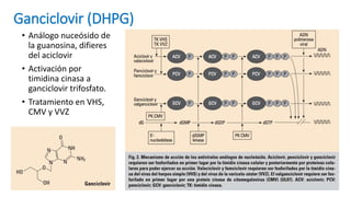 Ganciclovir (DHPG)
• Análogo nuceósido de
la guanosina, difieres
del aciclovir
• Activación por
timidina cinasa a
ganciclovir trifosfato.
• Tratamiento en VHS,
CMV y VVZ
 