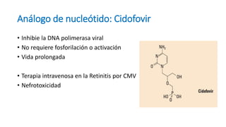 Análogo de nucleótido: Cidofovir
• Inhibie la DNA polimerasa viral
• No requiere fosforilación o activación
• Vida prolongada
• Terapia intravenosa en la Retinitis por CMV
• Nefrotoxicidad
 