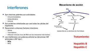 Interferones
Tratamiento:
Hepatítis B
Hepatítis C
 