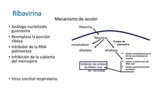 Ribavirina
• Análogo nucleósido
guanosina
• Reemplaza la porción
ribosa
• Inhibidor de la RNA
polimerasa
• Inhibición de la cubierta
del mensajero
• Virus sincitial respiratorio
 