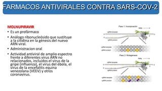MOLNUPIRAVIR
• Es un profármaco
• Análogo ribonucleósido que sustituye
a la citidina en la génesis del nuevo
ARN viral.
• Administracion oral
• Actividad antiviral de amplio espectro
frente a diferentes virus ARN no
relacionados, incluidos el virus de la
gripe (influenza), el virus del ébola, el
virus de la encefalitis equina
venezolana (VEEV) y otros
coronavirus.
FARMACOS ANTIVIRALES CONTRA SARS-COV-2
 