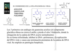 ACICLOVIR
GANCICLOVIR
TRIBAVIRINA
FOSCARNET
III. INHIBIDORES DE LA DNA-POLIMERASA VIRAL
Los 3 primeros son análogos de guanosina acíclico (el componente
glucídico ribosa no cierra el anillo y pierde el sitio 3-hidroxilo, donde la
elongación de la cadena de DNA ocurre normalmente).
En su forma trifosfatada, inhiben la DNA -polimerasa y la replicación
del DNA viral, y causa una terminación prematura de la cadena de DNA
viral. Se emplean en patologías herpéticas.
 