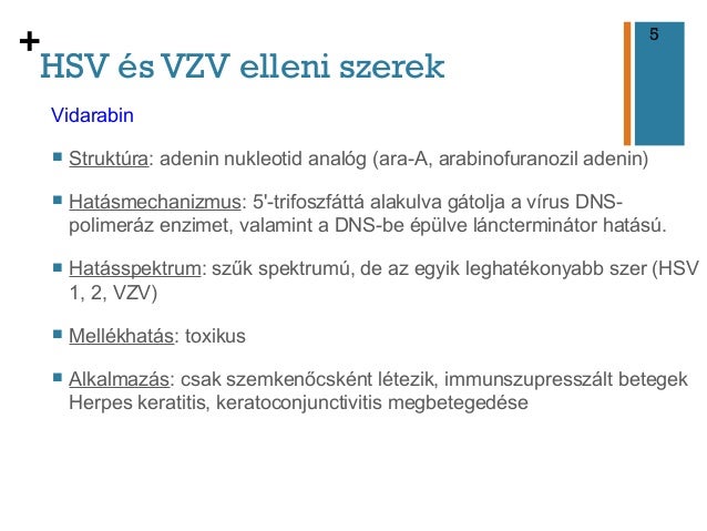 Antivirális szerek gyógyszertan