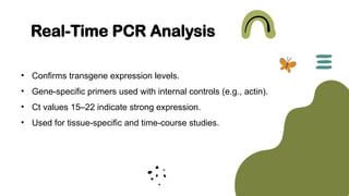 Transcriptological Analysis Antiviral plant Production: Analysis of Transgene Integration and ...
