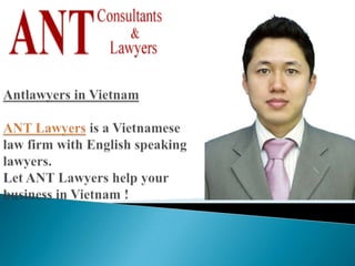 lawyers in vietnam