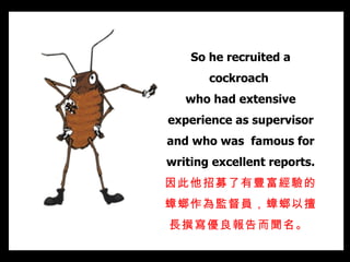 So he recruited a cockroach  who had extensive experience as supervisor and who was  famous for writing excellent reports. 因此他招募了有豐富經驗 的蟑螂 作為監督員， 蟑螂 以擅長撰寫優良報告而聞名。   