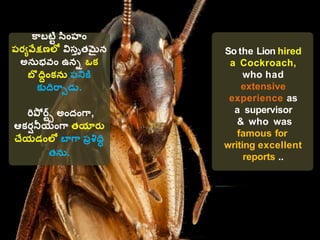 Lion Cockroach Ant and loin - సింహం మరియు చిట్టి చీమ కథ | PPTX
