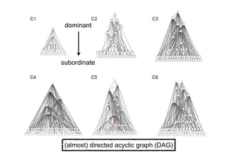 (almost) directed acyclic graph (DAG)
dominant
subordinate
 
