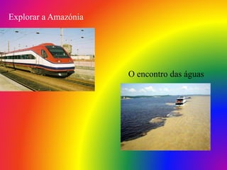 Explorar a Amazónia
O encontro das águas
 