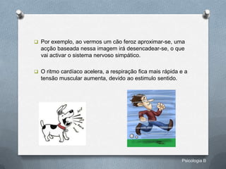  Por exemplo, ao vermos um cão feroz aproximar-se, uma
  acção baseada nessa imagem irá desencadear-se, o que
  vai activar o sistema nervoso simpático.

 O ritmo cardíaco acelera, a respiração fica mais rápida e a
  tensão muscular aumenta, devido ao estimulo sentido.




                                                          Psicologia B
 