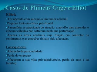  O seu primeiro livro publicado foi O erro de Descartes – emoção, razão e cérebro humano.